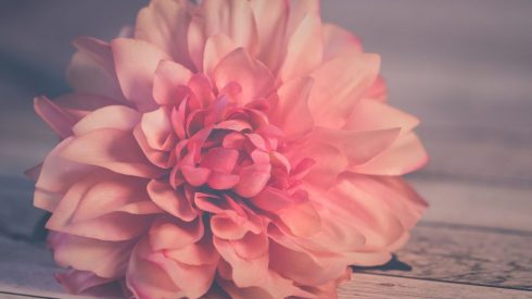 xr:d:DAE1n_JEYds:351,j:552673179,t:22121617