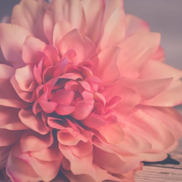 xr:d:DAE1n_JEYds:351,j:552673179,t:22121617