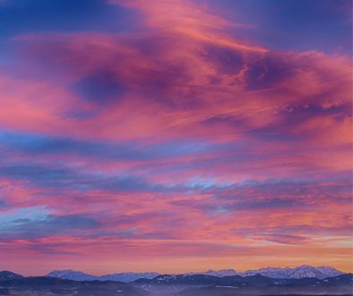 2980a77d-82e9-640d-d9ba-d08dfb111cc6