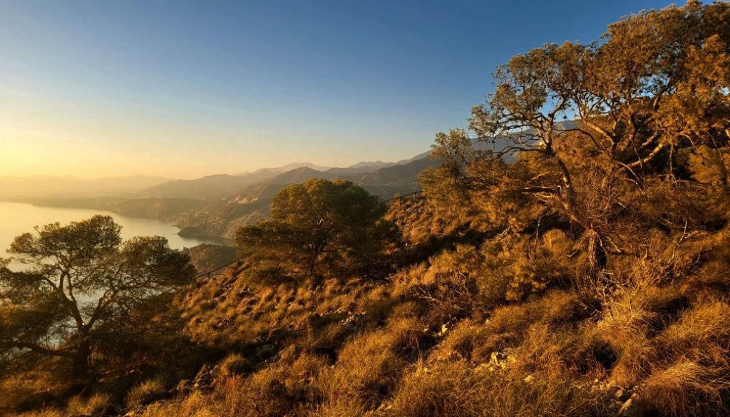 2dc57c17-ddb9-89e4-60cf-3816b8b087f8