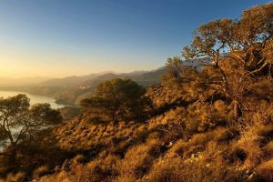 2dc57c17-ddb9-89e4-60cf-3816b8b087f8