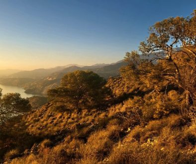 2dc57c17-ddb9-89e4-60cf-3816b8b087f8