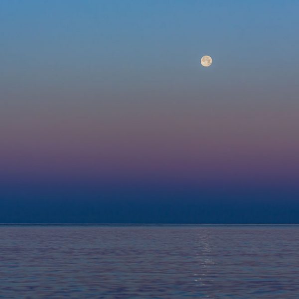 The Somatic Sanctuary: 12 Weeks of Ongoing Nervous System Support