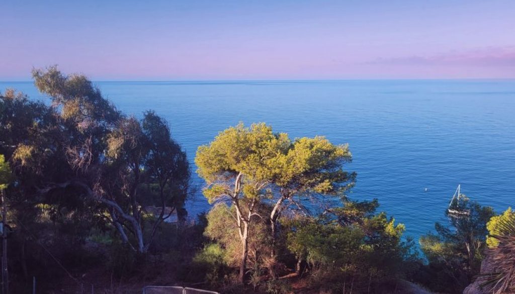 548225e2-4aa6-882a-63a3-c690abd1425f