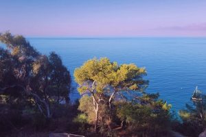 548225e2-4aa6-882a-63a3-c690abd1425f