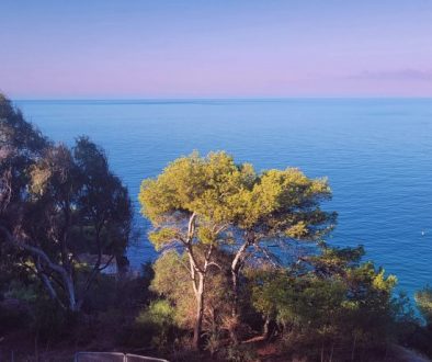 548225e2-4aa6-882a-63a3-c690abd1425f