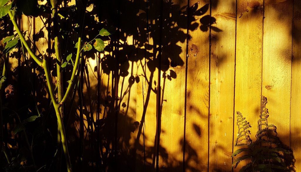 b2b17fde-2538-19df-09f6-b31858bb1856