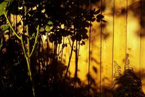 b2b17fde-2538-19df-09f6-b31858bb1856