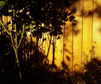 b2b17fde-2538-19df-09f6-b31858bb1856